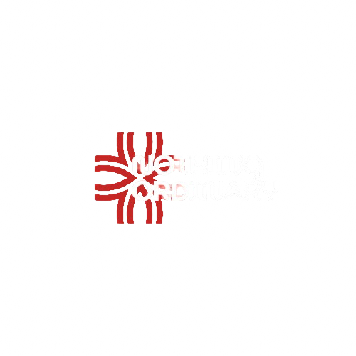 Nothing Ordinary Logo