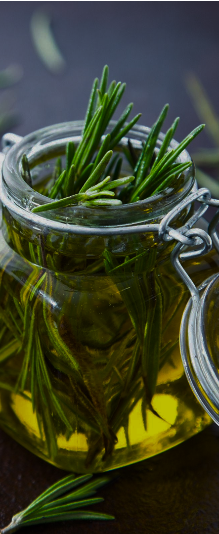 Rosemary